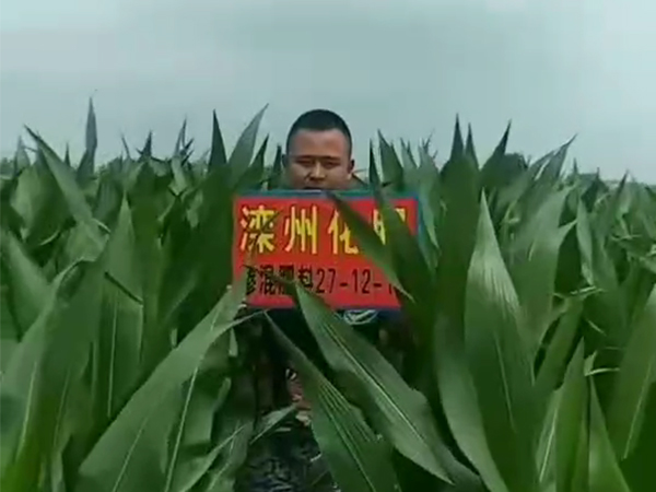 ͑